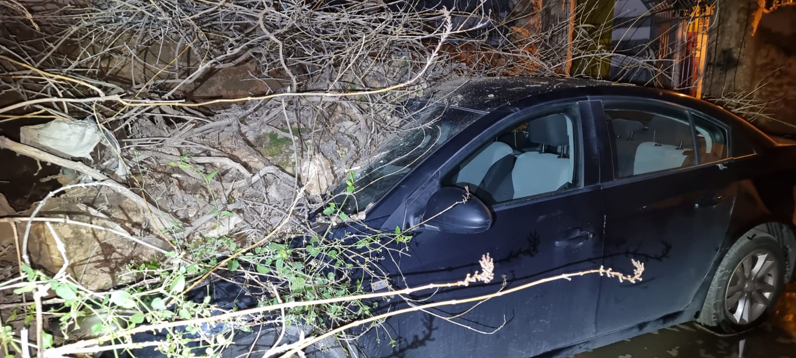 WhatsApp Image 2022-01-21 at 10.40.55 PM (1).jpeg